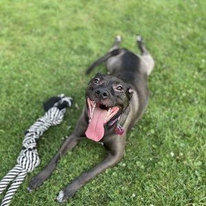 Fundraising Page: Caitlyn Sanders